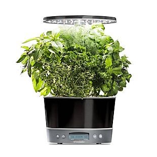 AeroGarden