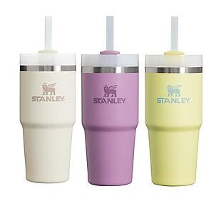 Stanley 14oz Straw Cups $20!