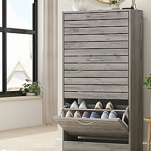 Shoe Storage Cabinets under $100 Shipped