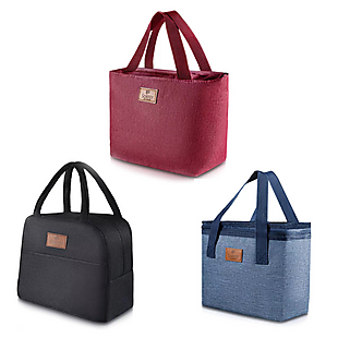 2 Insulated Lunch Bags $10 Shipped