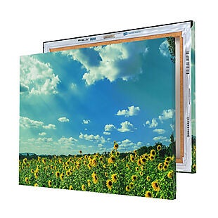 Easy Canvas Prints deals