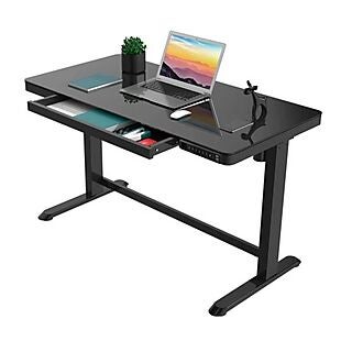 Electric Standing Desk $250