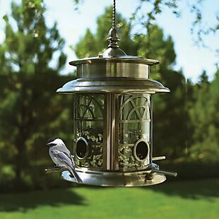 Solar Bird Feeder $24 Shipped