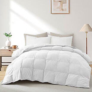 75% Off 600-Fill Down & Feather Comforter