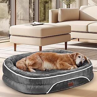 Large Orthopedic Dog Bed $30 Shipped