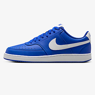 Nike Court Vision Low Shoes $54