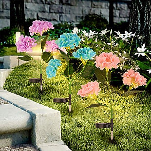 2pk Solar Hydrangea Pathway Lights $18