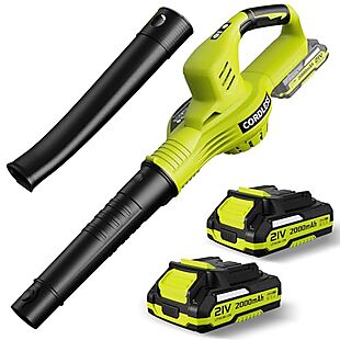 Cordless Leaf Blower Set $60