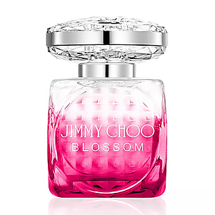 Jimmy Choo Perfume $30