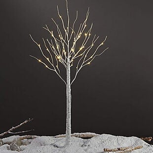 72" LED Birch Tree $50