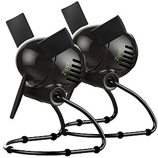 2 Vornado Zippi Personal Fans $25