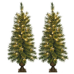 Set of 3.5' Pre-Lit Porch Trees $62