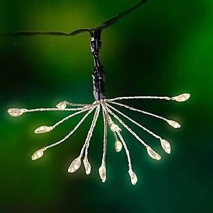 4pk Solar String Lights $20