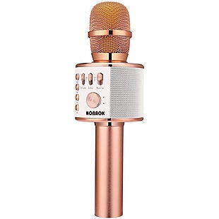 45% Off Bluetooth Karaoke Microphone