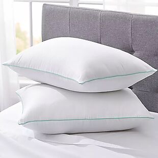 2pk Martha Stewart Pillows $14