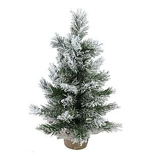 60% Off Christmas Trees