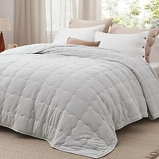 50% Off Down-Alternative Comforters