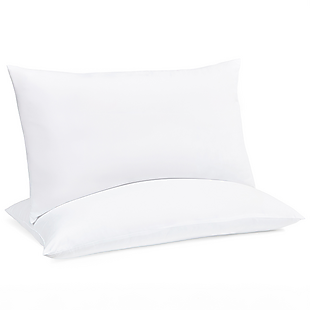 2pk Down-Alternative Plush Pillows $29