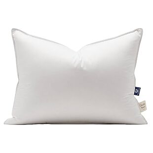 Down Queen Pillow $30