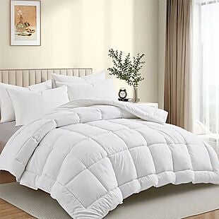 Up to 60% Off All Season Comforters