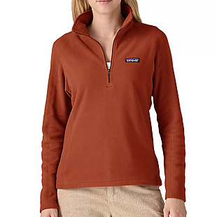 Patagonia Micro D Pullover $39