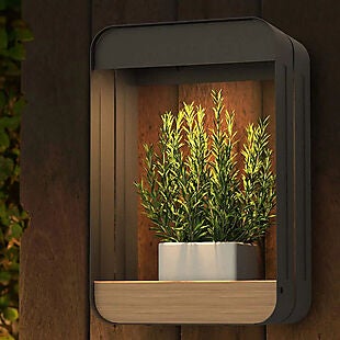 Solar LED Outdoor Wall Shelf $31