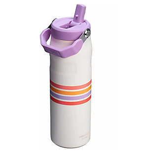 Stanley 24oz Iceflow Water Bottles $26