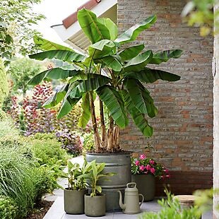 HSN: Up to 30% Off Garden & Outdoors