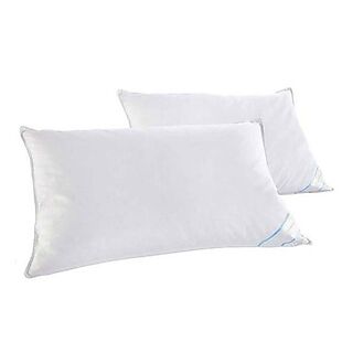 2pk Duck Feather Pillows from $22