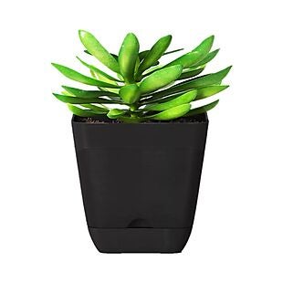 Target Planter Pots $2