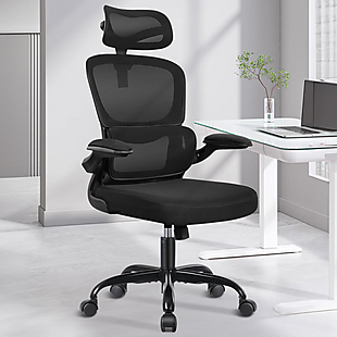 Ergonomic Breathable Office Chair $90