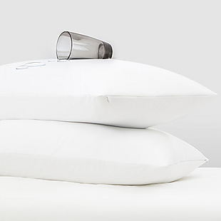 2pk Jersey Knit Pillow Protectors $20