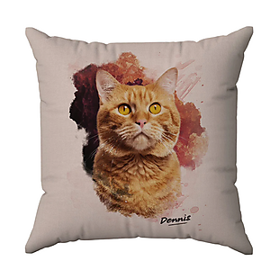 Custom Pet Pillows $44