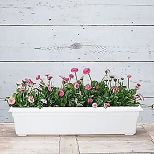 Planters from $24