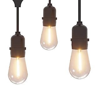 24' Edison Bulb String Lights $25