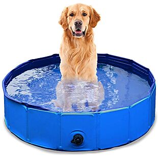 Kiddie & Pet Pool $20