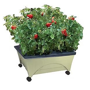 Raised Garden Bed Kit $28