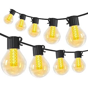 50' String Lights $19