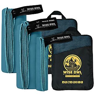 4pc Wise Owl Quick-Dry Towels $10