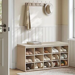 Shoe Storage Solutions under $100