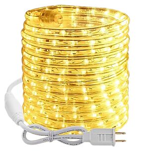 48' Warm White Rope Lights $15