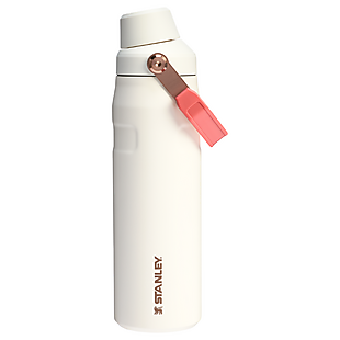 Stanley 24oz Iceflow Bottle $28