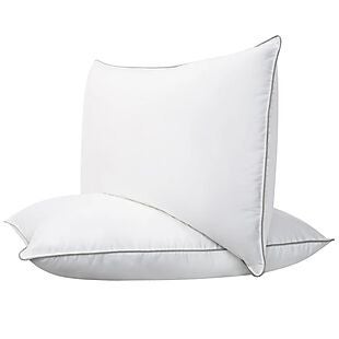 2pk Down Hybrid Pillows $30