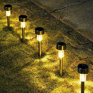 16pk LED Solar Garden Lights $28