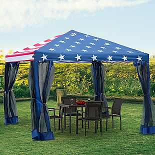 10' x 10' American Flag Party Tent $120