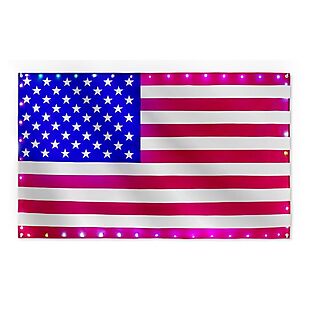 LED Light-Up American Flag $22