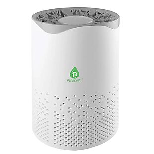 Pursonic Portable Air Purifier $20
