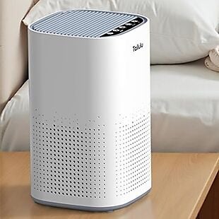Large HEPA Air Purifier $40