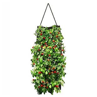 Up to 60% Off Gardening