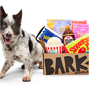 12 Free Dog Toys with 1yr Subscription